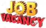 WANTED BACK OFFICE
