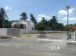 Low Budget Investment Site