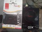 Piegeon induction like a brand new