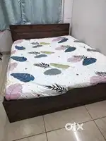 Wakefit Queen size Bed(6 months old)