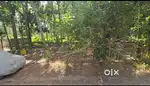 15cent land for sale at malayinkezhu