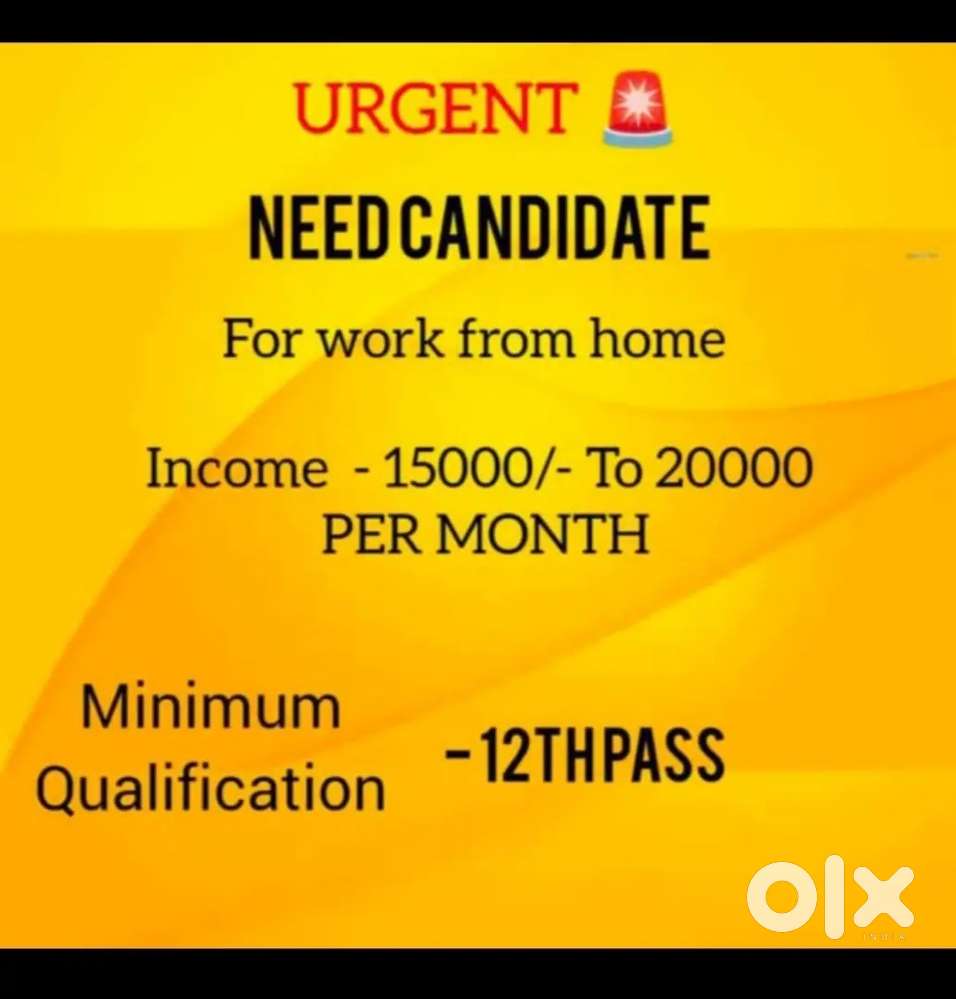 Work from home for students housewife and job persons