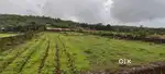 Sale of agriculture land