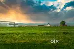 Plot and farm houses are available at prime locations