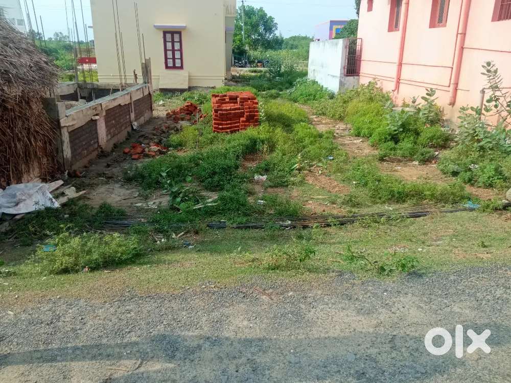 Annamali university near