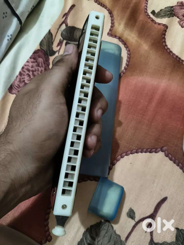 Harmonica (Mouth Organ)