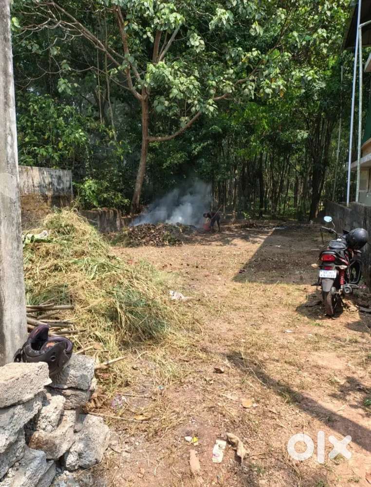 House plot with well