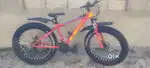 Beast2.0 fat bike Great condition not used much color isn't faded