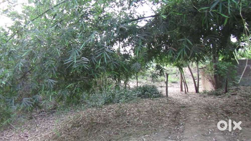 PLOT FOR SALE