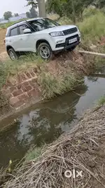 A1 condition