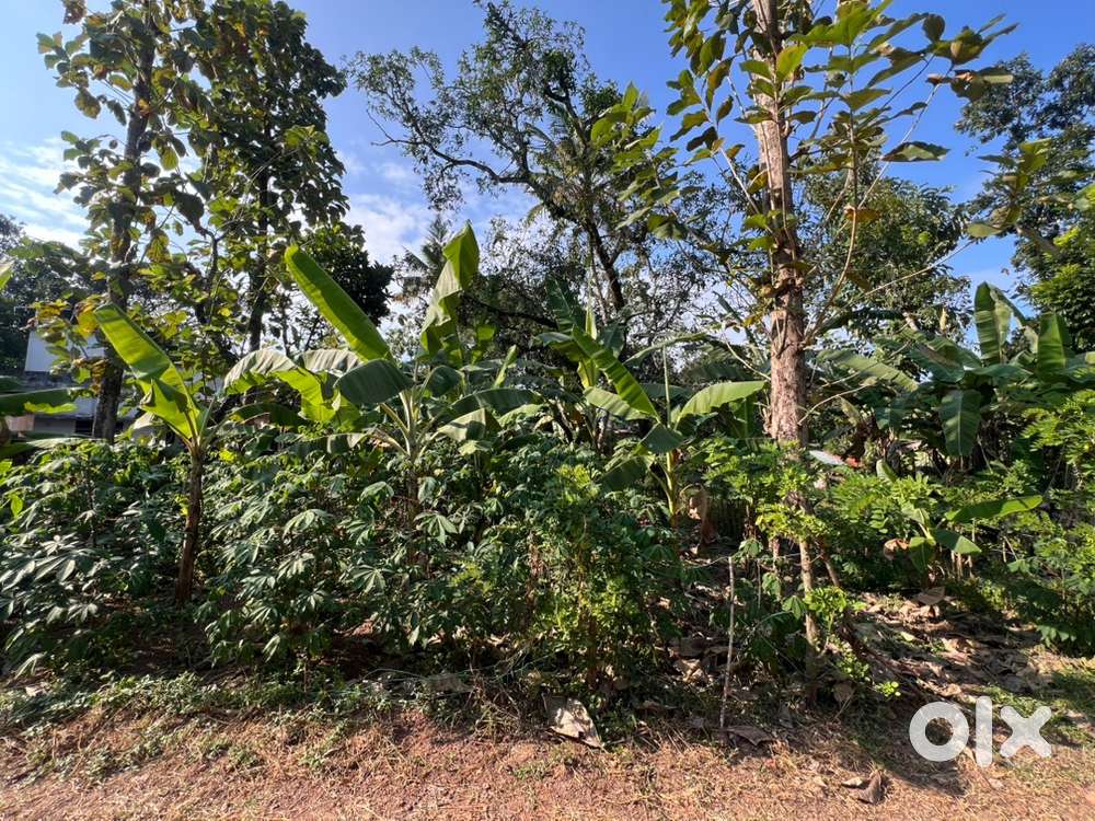 9 cent plot for sale 3.50lk/cent