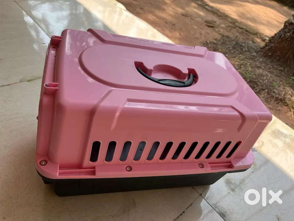 cat carrier fresh new