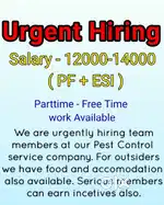 Pest Control Job