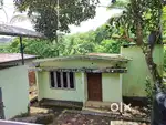3 BHK, 750 sq.ft house and 4  cent property for sale in Ponkunnam