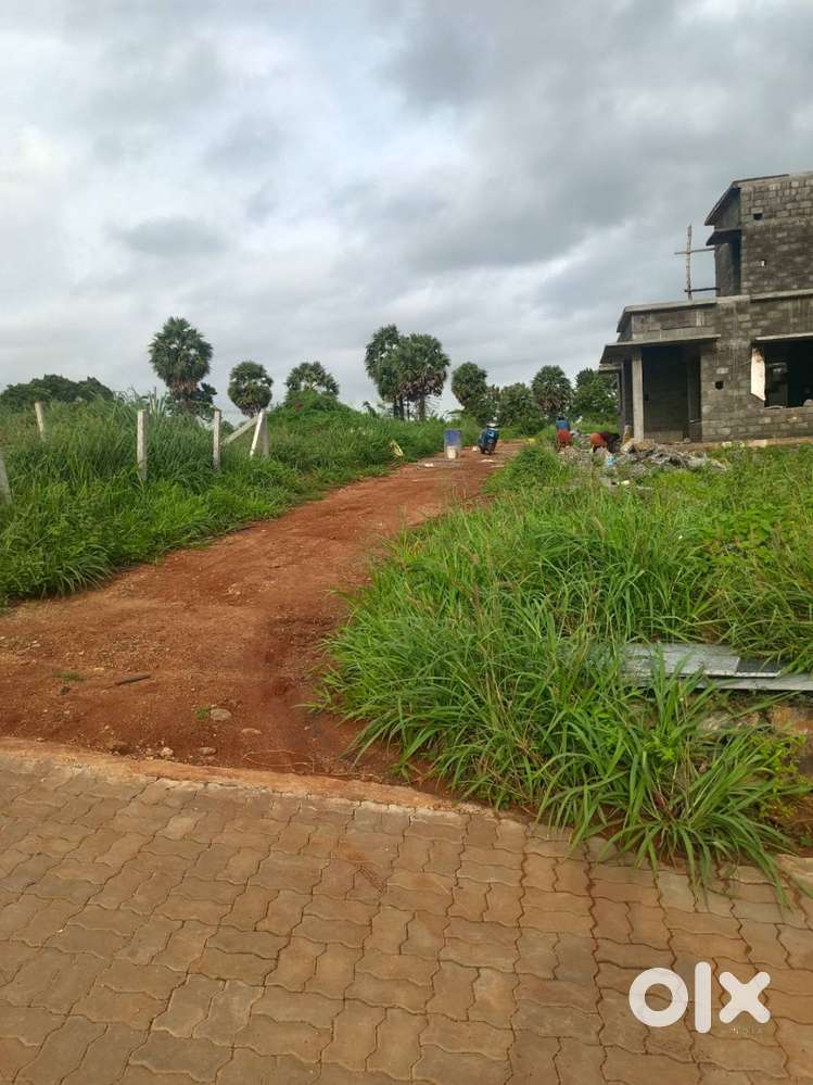 9 Cent House plot for Sale in Elappully, Palakkad