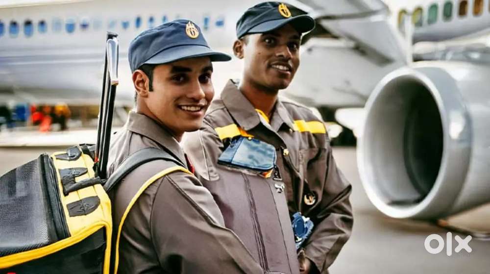 Ground Staff jobs in indigo Airlines urgent hiring