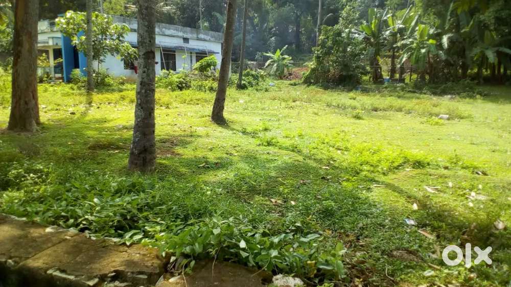 PLOT FOR SALE
