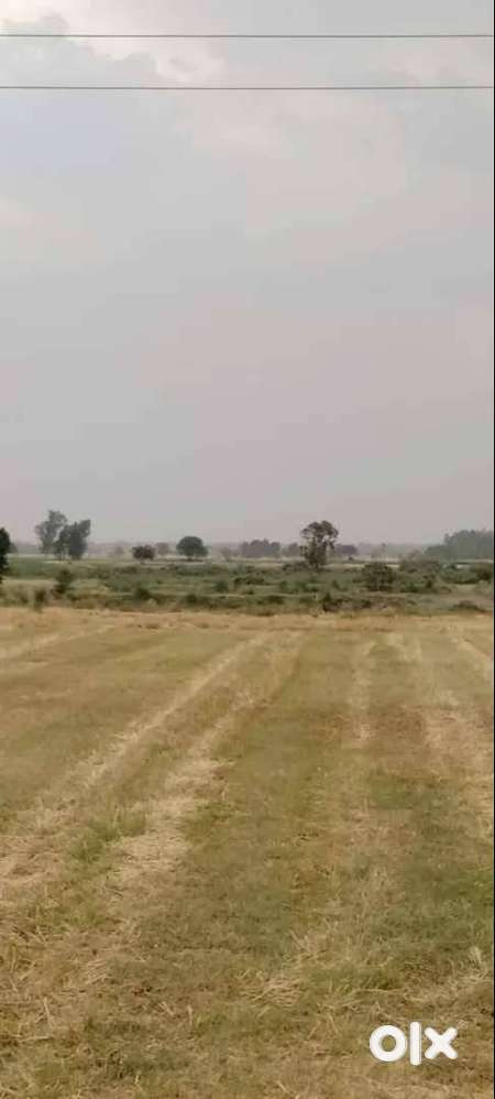 plot with double story map approved in Sector 23 New Sunny Enclave