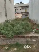Uma gowsomi