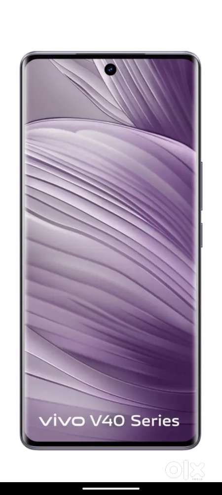 Vivo v40 8/256