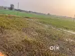 1 acr land selling
