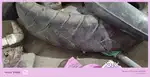 Pulsar apache tyre