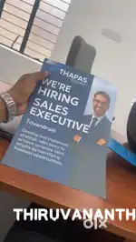 Sales executives