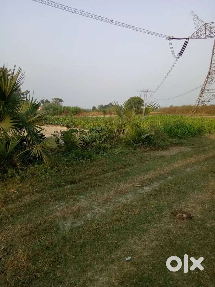 8 dhur jameen hai sampat chek me