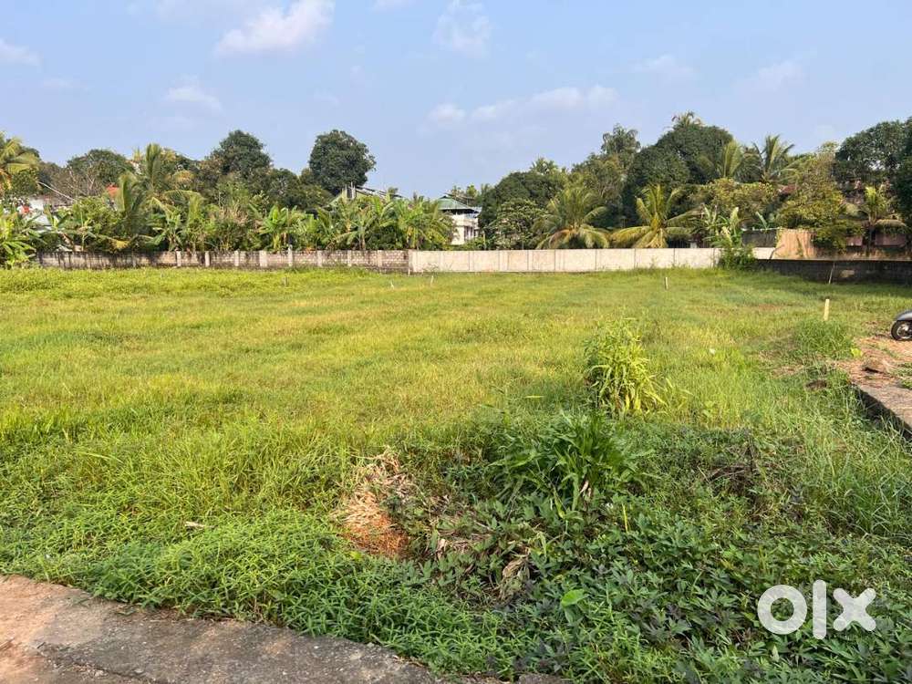 61 Cents DRY LAND for Sale at Elookara, Kadungalloor, Aluva