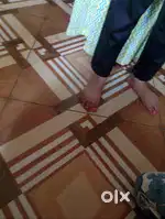 Vinayak nx