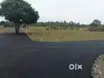 Urgent sell low budget plots sale in Kinathukadavu, kids park school