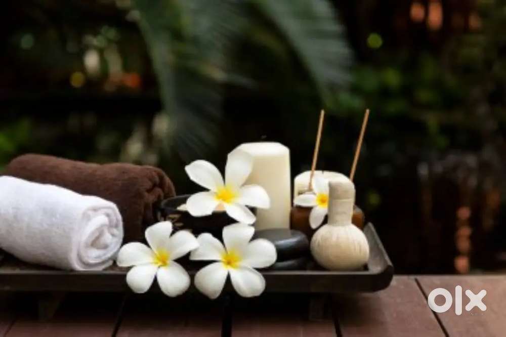 Hiring Wellness & Spa Assistant – Great Work Culture + Incentives