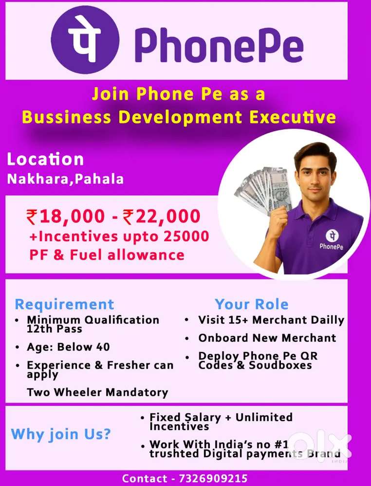 Phonepe Business Development Executive