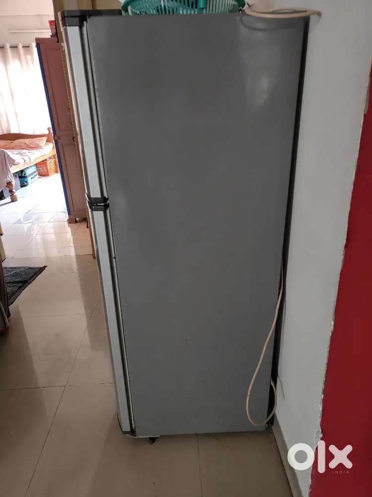 Refrigerator for sale today