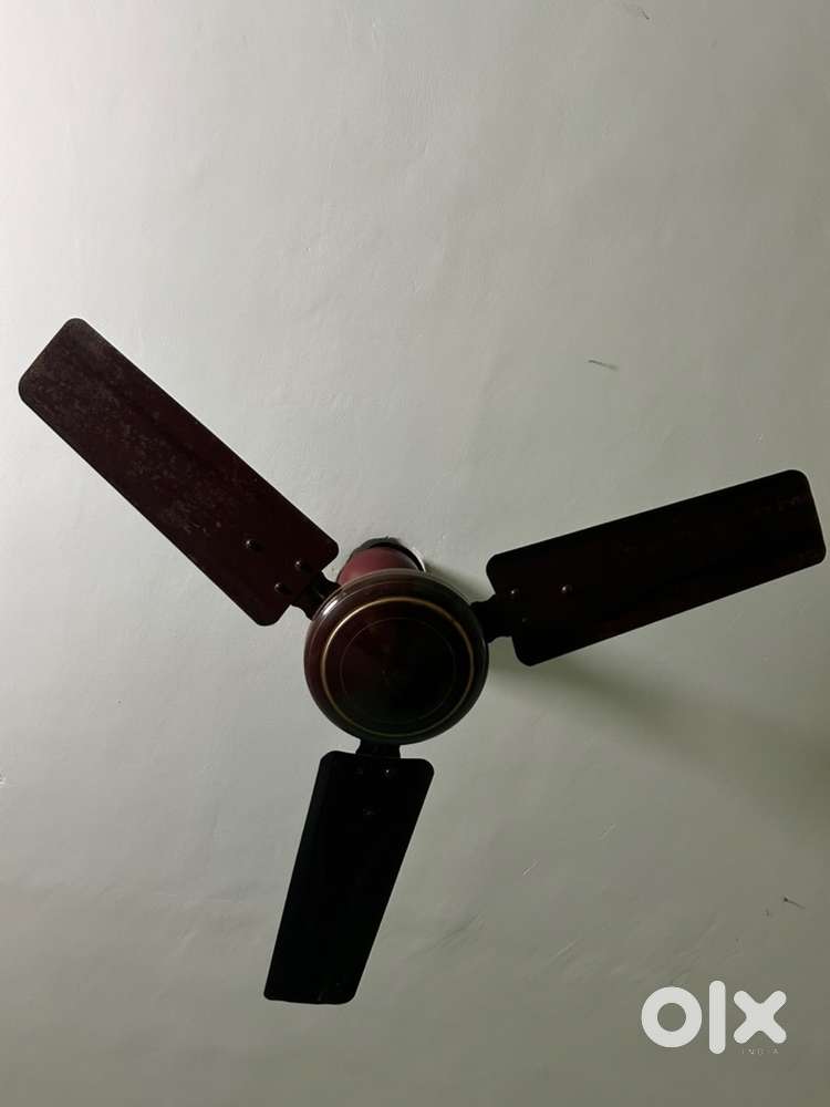 Ceiling fan 2 months old