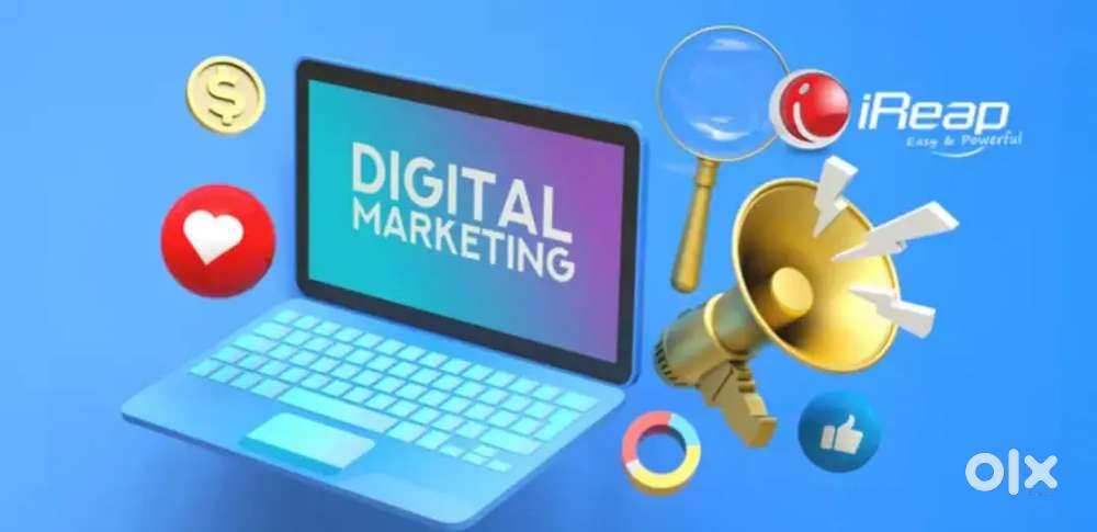 Need Digital marketing staff