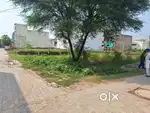 Corner plot 30×60 Near Green land Public school interlock tile road
