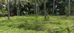 Land for Sale in Thuvarancadu