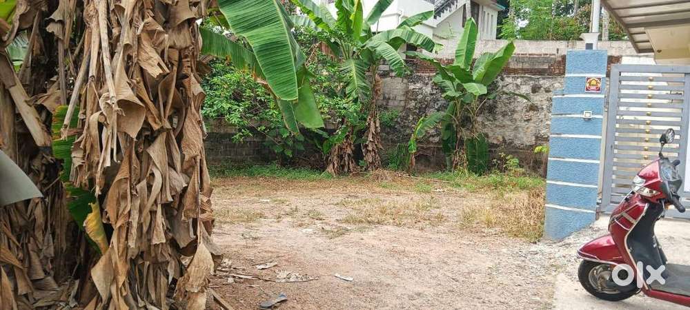 good residential plot in kunnapuzha,Thirumala