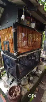 PET CAGE double stacked