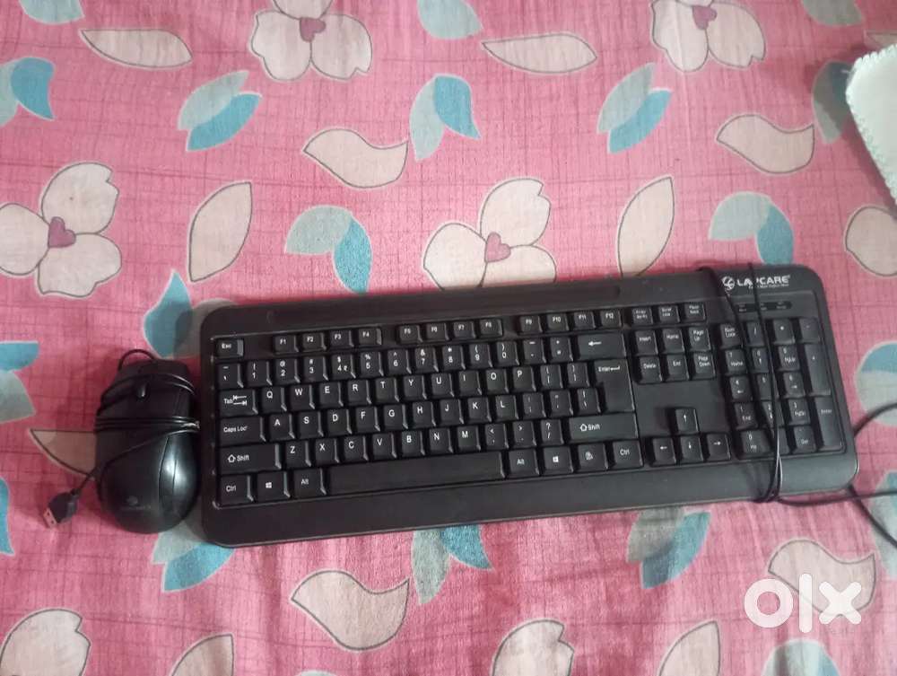 Keyboard and mous keyboard barand lapcare and mous barand Zebronics