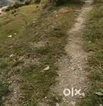 Total ariya 25biswa