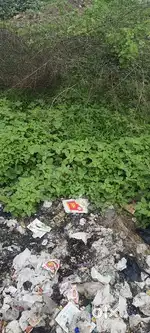 It's KHB plot near high court