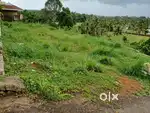 Mulanthuruthy beautiful paddyview good area red soil, , More Water