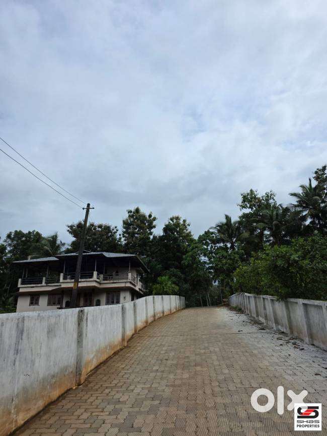 9 Cent House plot for sale in Viyyakurissi,Palakkad