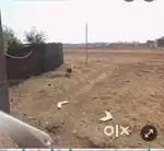 Urgent sell open plot swraj nagar