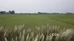 निवेश जमीन एवं किसानी जमीन