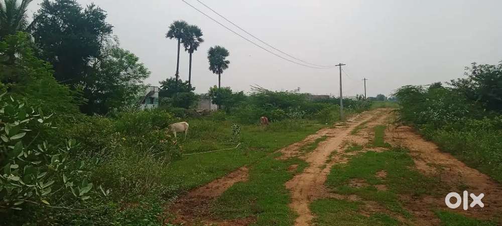 Trichy to madurai highway near