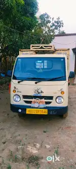 Tata ac gold