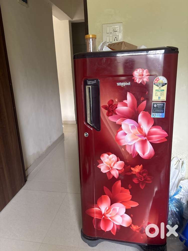 2023 LG fridge